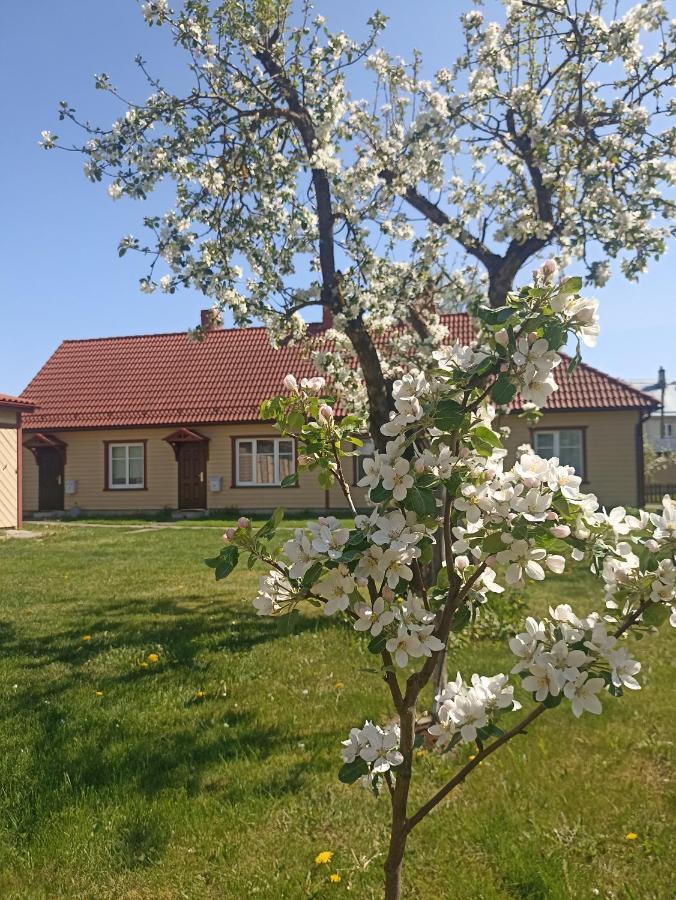 Vingi Apartment 12 Пярну Экстерьер фото